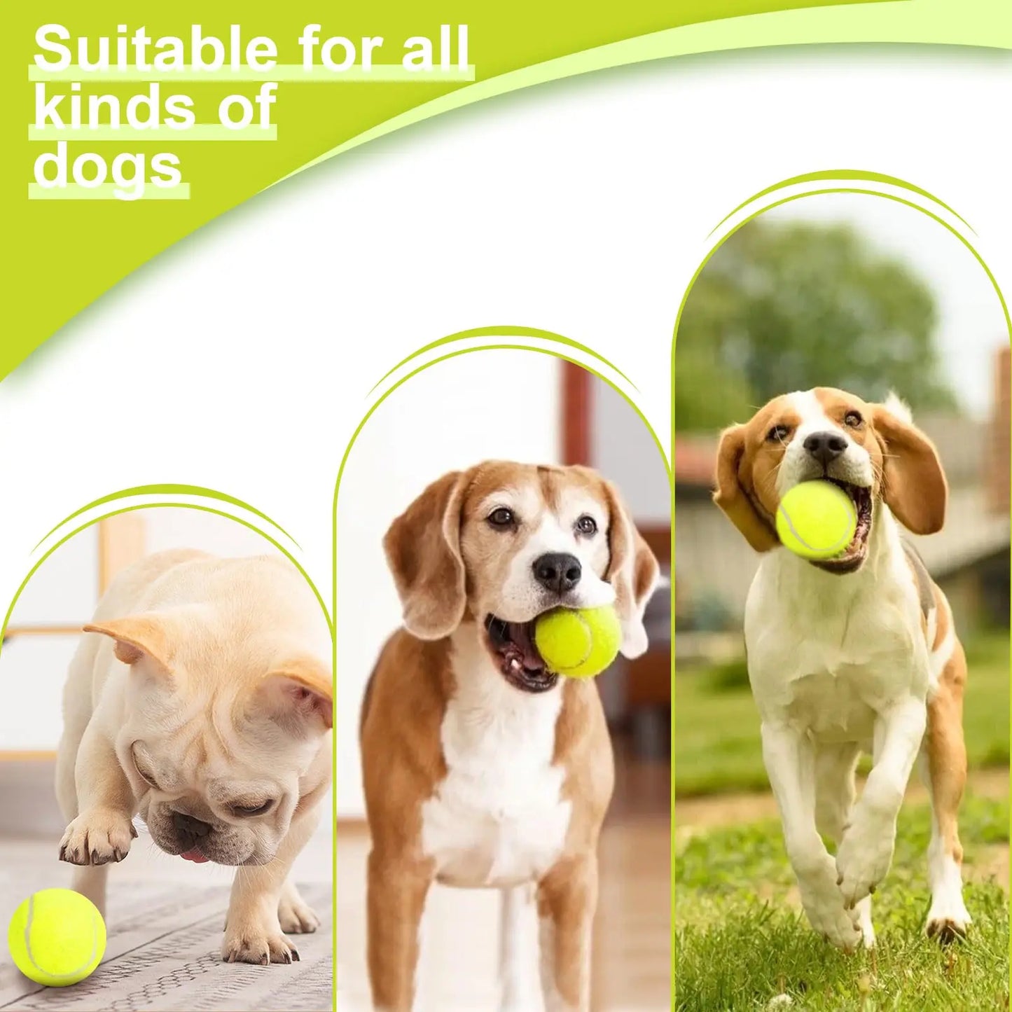 Pawsome Ball Fun Launcher - KCShopping