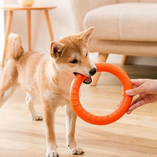 Durable Dog Training Ring - KCShopping