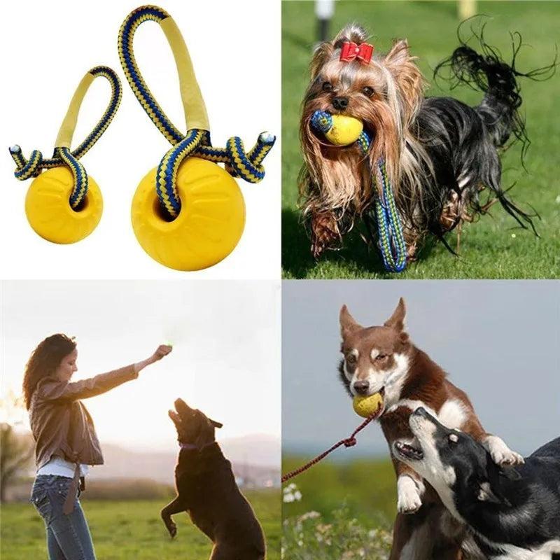Balle à mâcher indestructible pour chiot