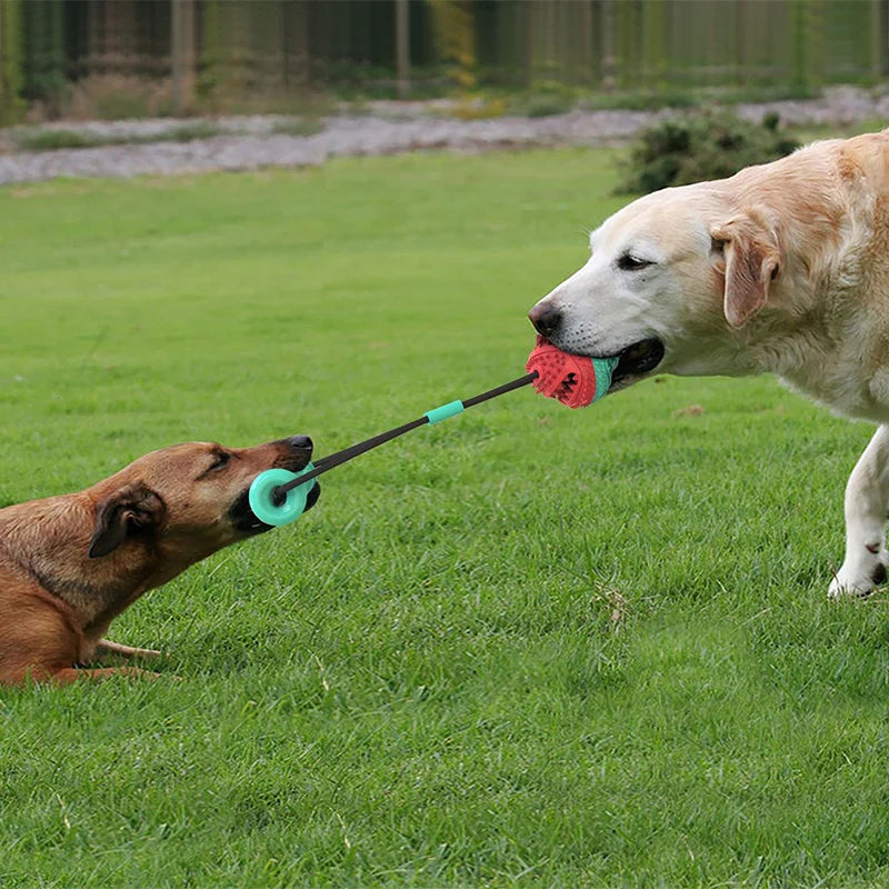 Dog Chew & Play Ball - KCShopping