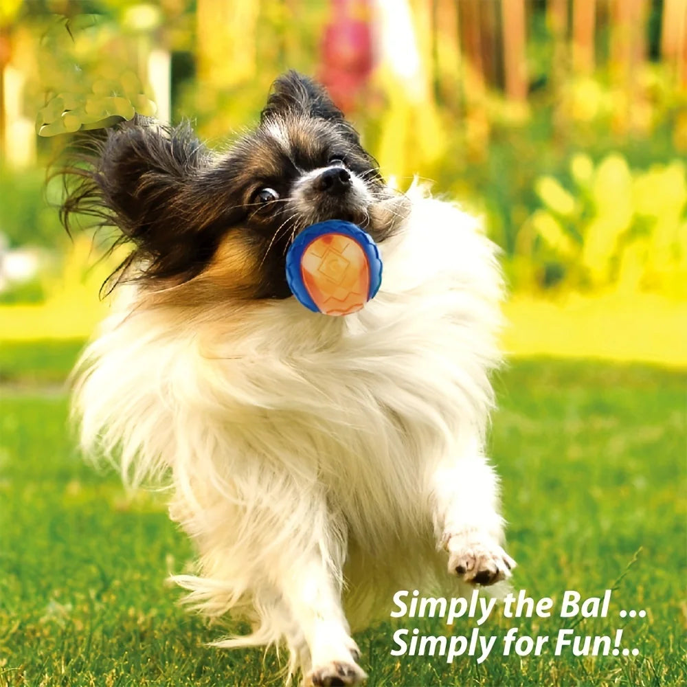 Unbreakable Dog Ball for Fun - KCShopping