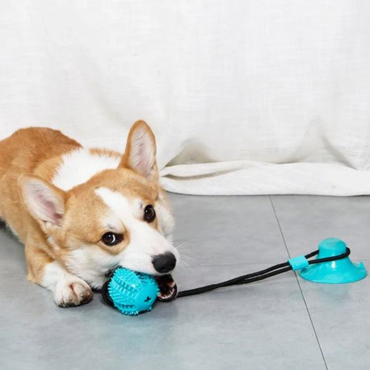 Puppy IQ Tug & Chew Toy - KCShopping
