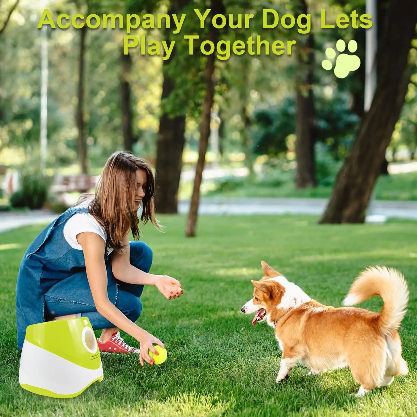 Pawsome Ball Fun Launcher - KCShopping
