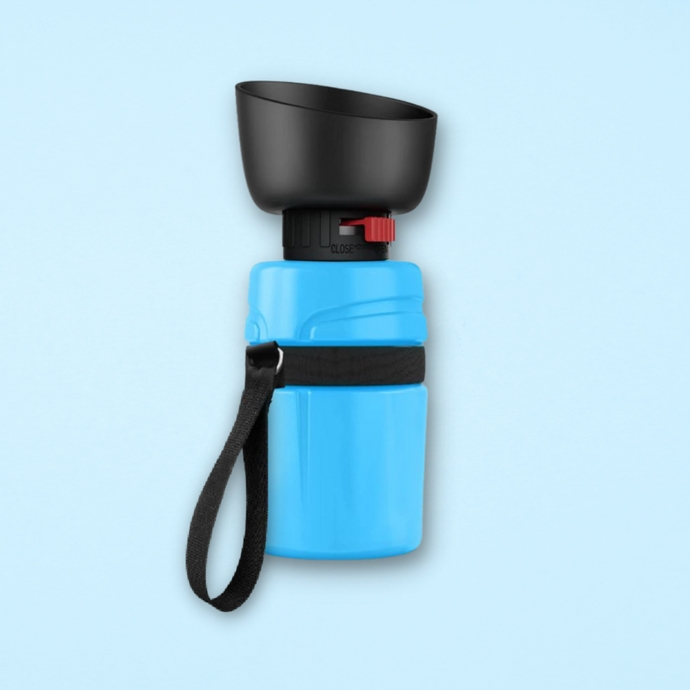 Bouteille d'eau pour chien d'extérieur