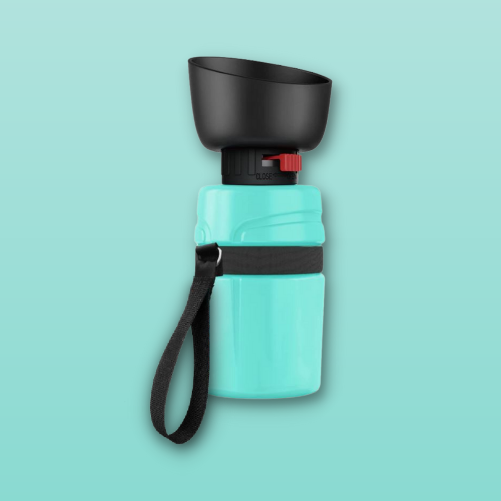 Bouteille d'eau pour chien d'extérieur