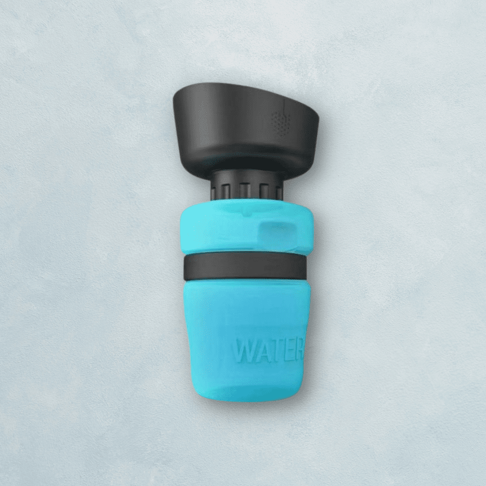 Bouteille d'eau pour chien d'extérieur