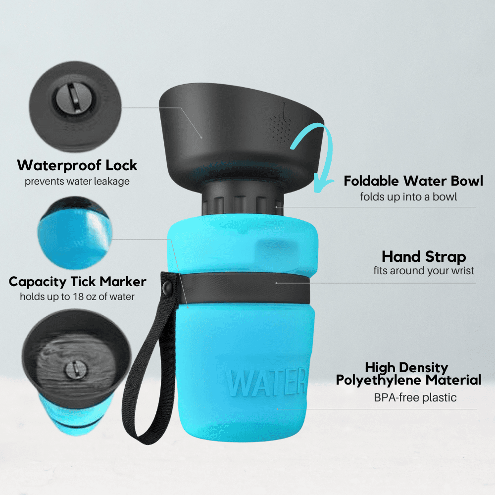 Bouteille d'eau pour chien d'extérieur