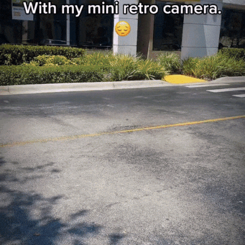 ClickBack Timeless Snapper - KCShopping