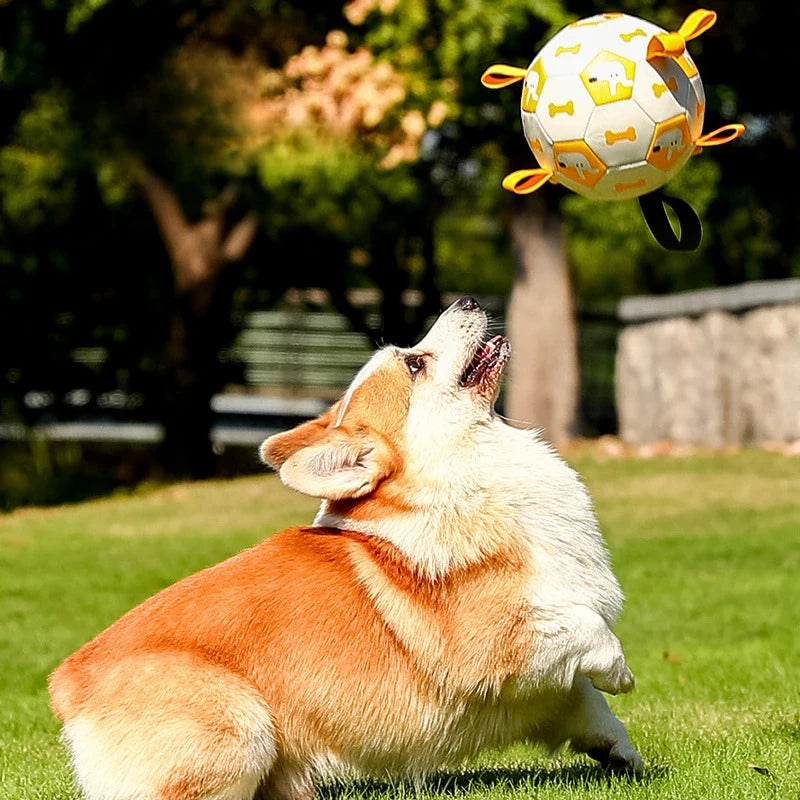 Pawversa dog products