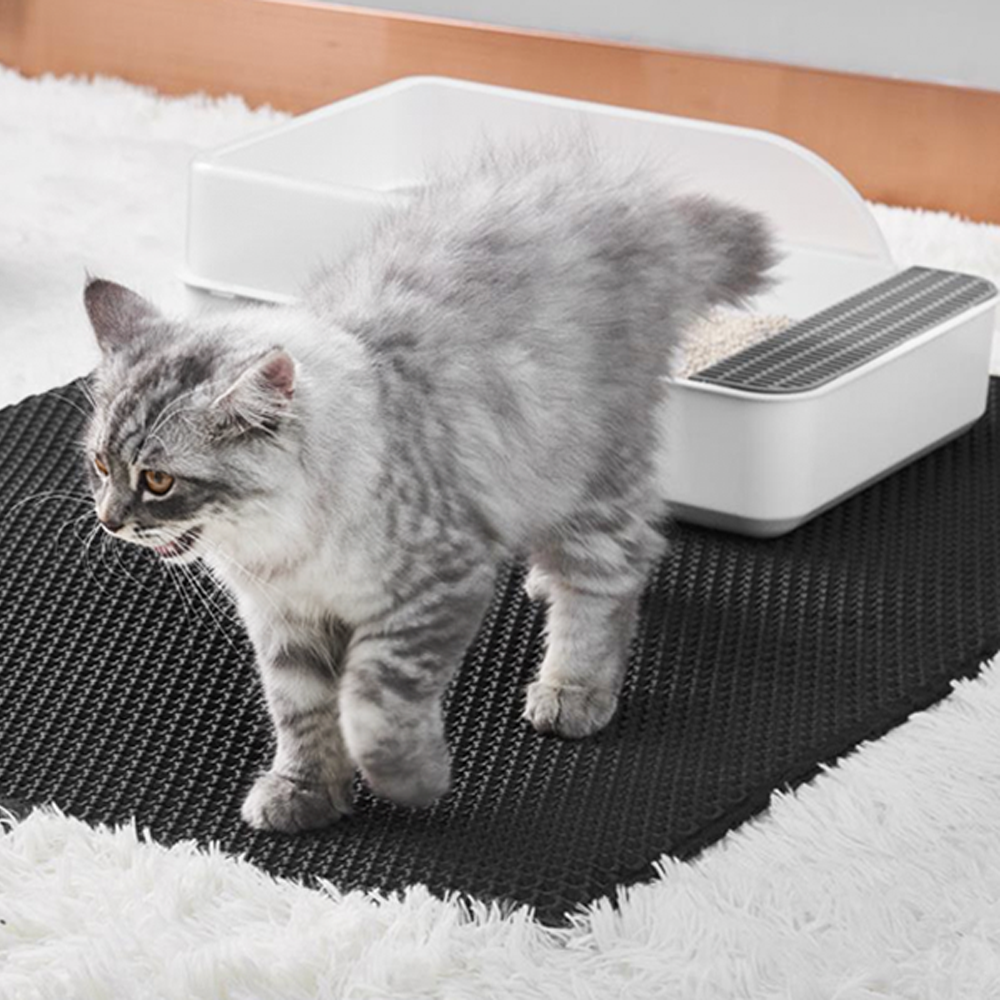 Tapis de litière sans dégâts