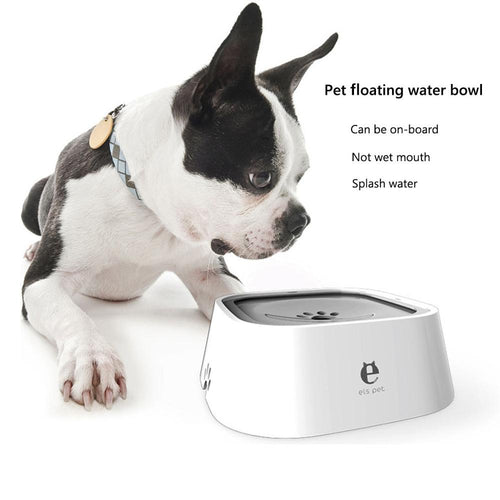 Gamelle d'eau anti-éclaboussures pour chien 