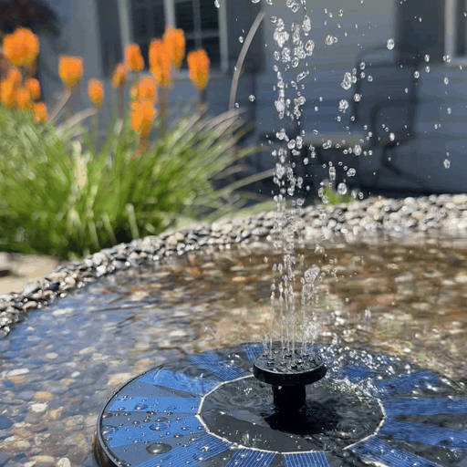 Close-up of AquaSol solar fountain operating in a sunlit bird bath