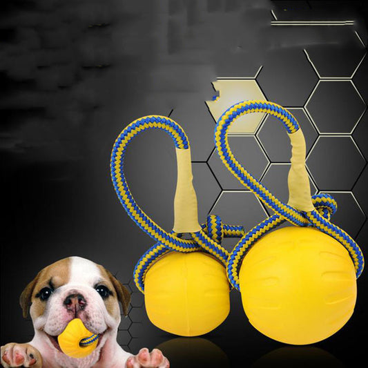 Balle à mâcher indestructible pour chiot 