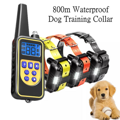 Collier de dressage ultime pour chien 