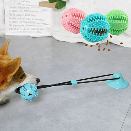 Jouet à tirer et à mâcher Puppy IQ 