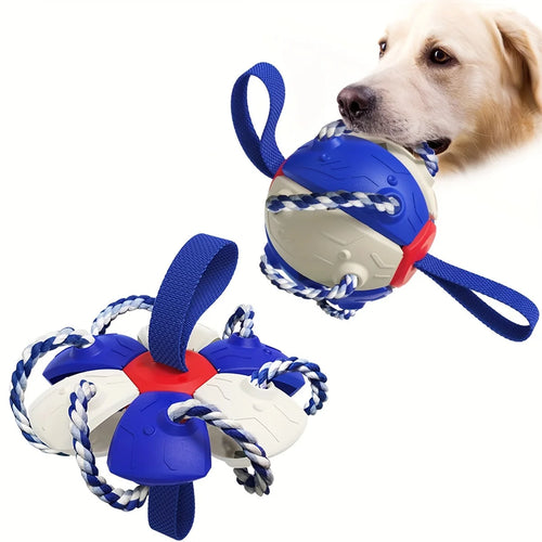 Disque de football Pawfect Play 