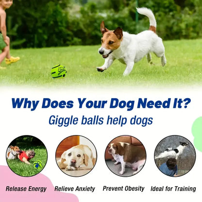 Giggle Squeak Dog Fun Ball - KCShopping