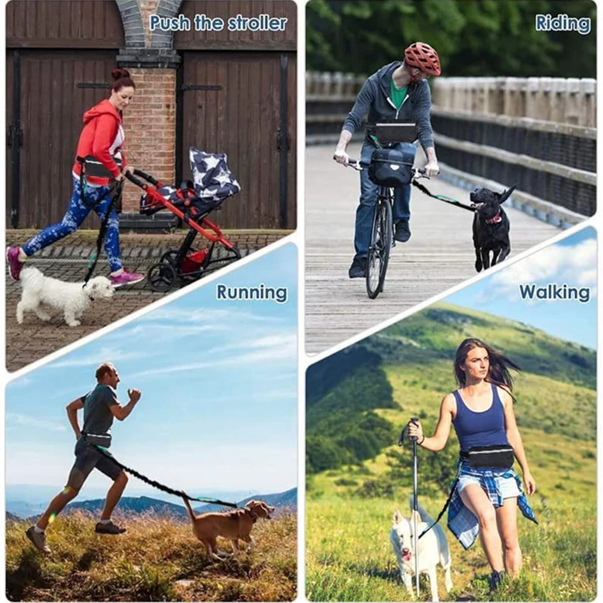 Hands-Free Dog Running Leash - KCShopping