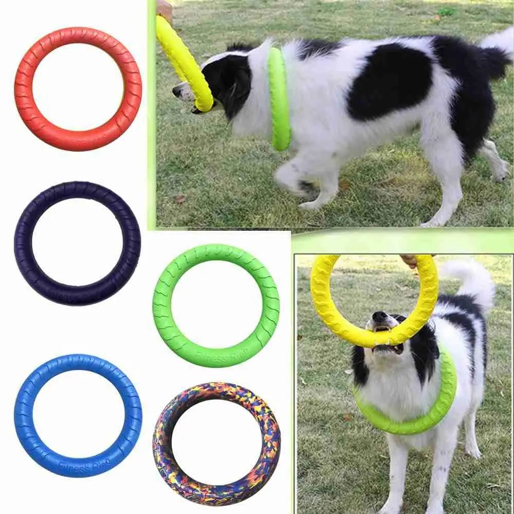 Robuster Hundetrainingsring 