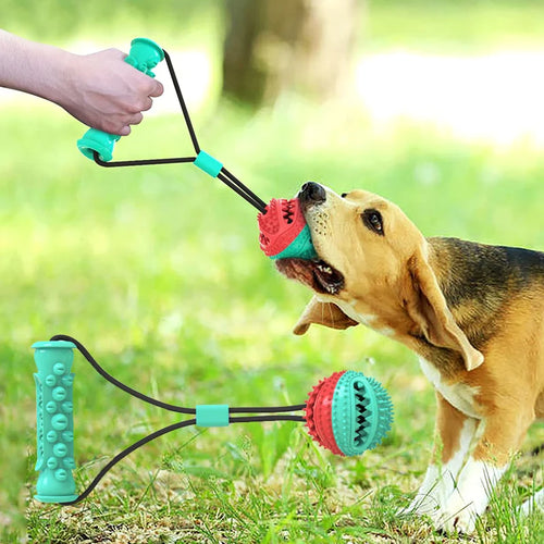 Balle à mâcher et à jouer pour chien 