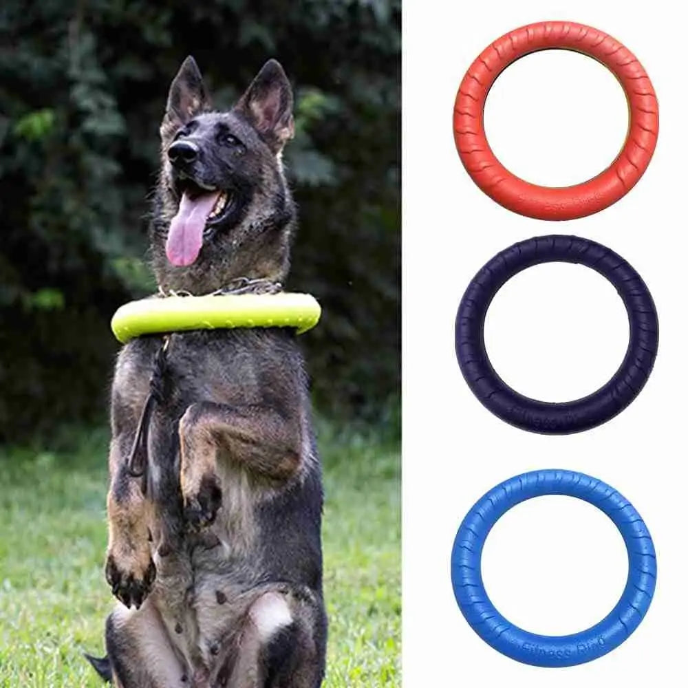 Robuster Hundetrainingsring 