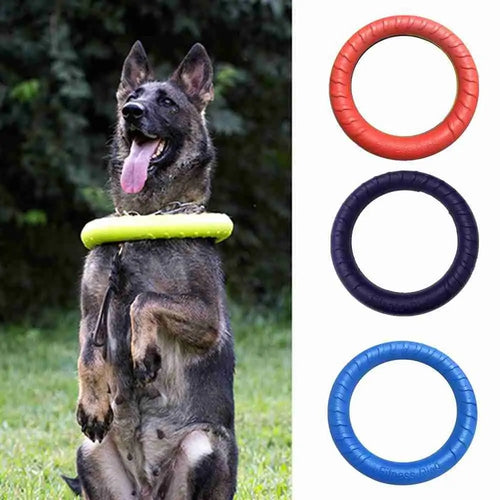 Anneau de dressage durable pour chien 