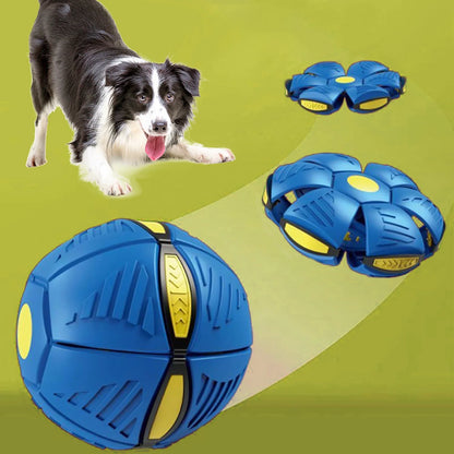 Magischer UFO-Ball für Hunde 