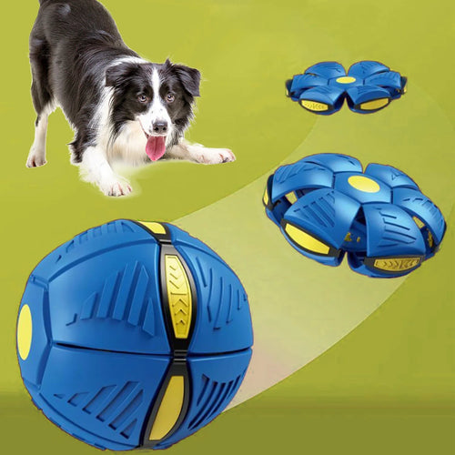 Balle magique OVNI pour chiens 