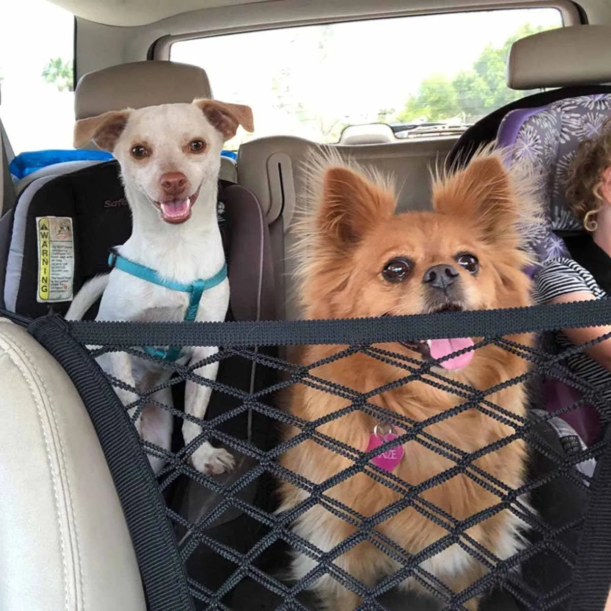 Pet Car Safety Net - KCShopping