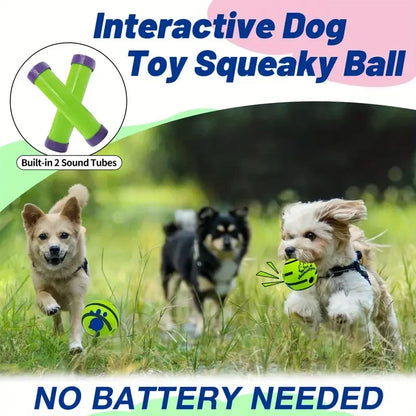 Giggle Squeak Dog Fun Ball - KCShopping