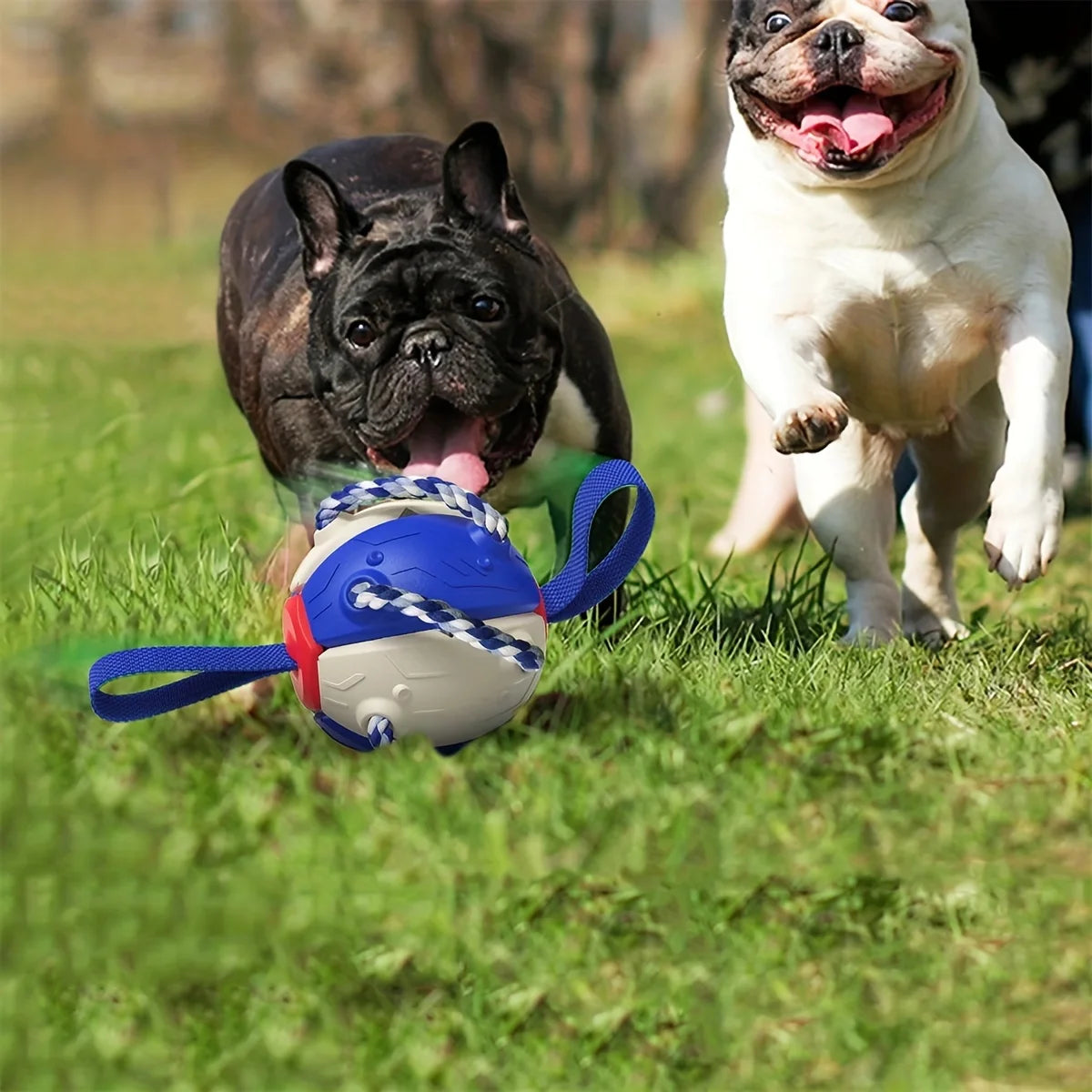 Pawfect Play Soccer Disc - KCShopping