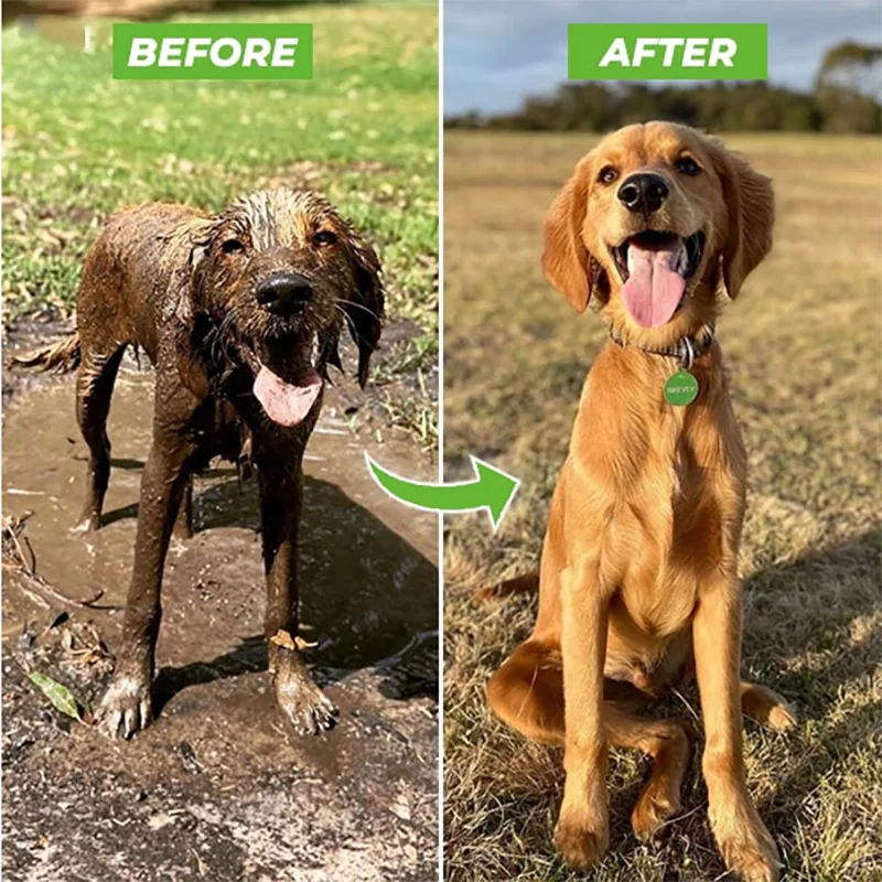 PetCare Pro Sprühgerät 