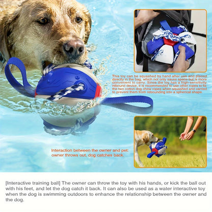 Pawfect Play Soccer Disc - KCShopping
