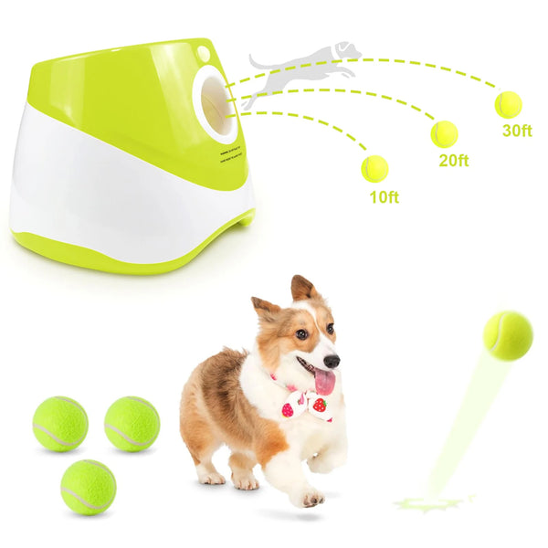 Pawsome Ball Fun Launcher