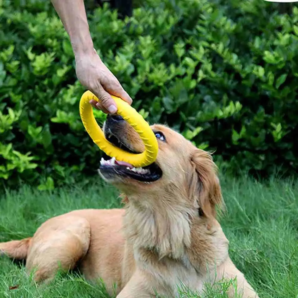 Robuster Hundetrainingsring 