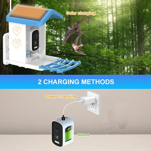 Mangeoire solaire intelligente pour oiseaux avec caméra