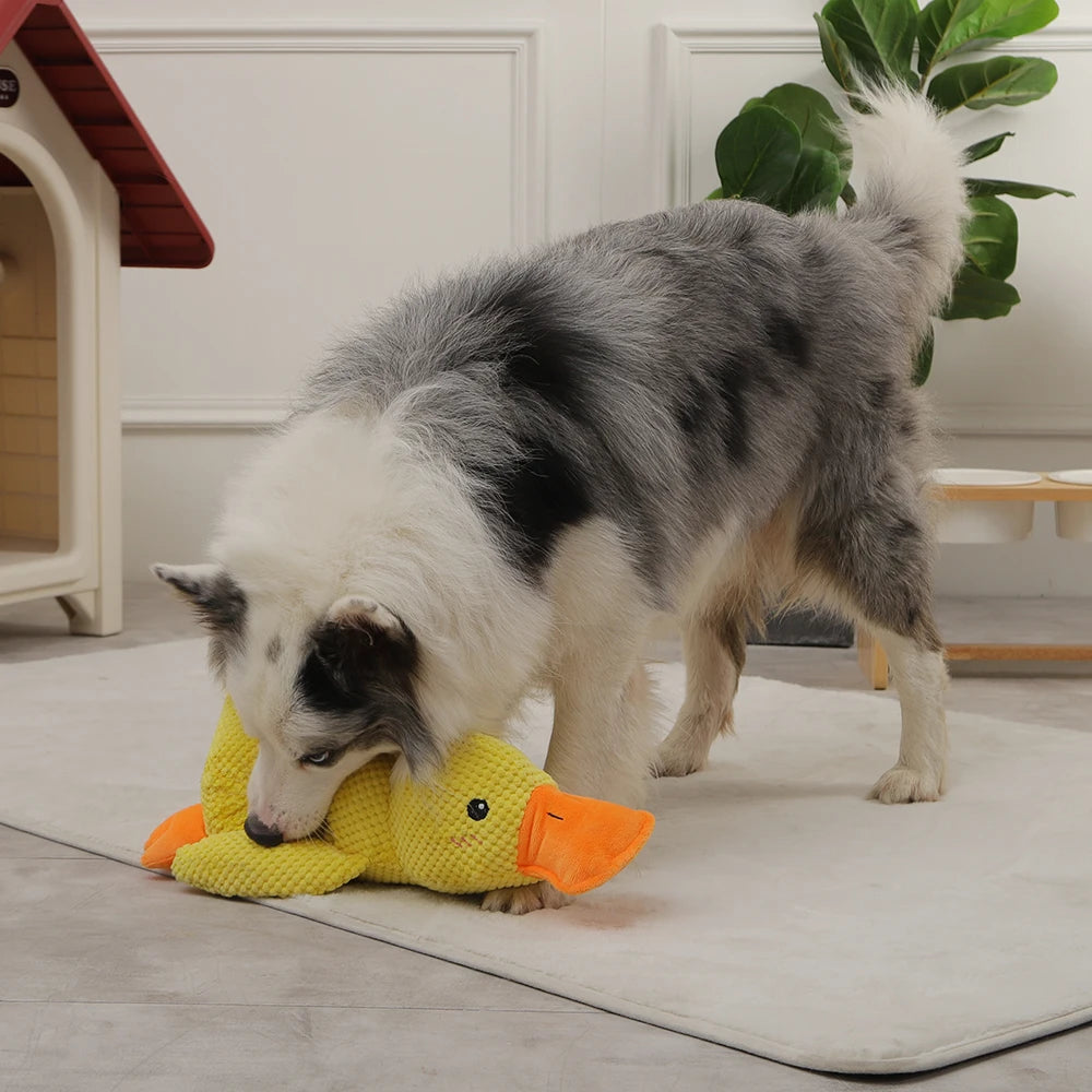 Duckie Plush Pet Toy - KCShopping