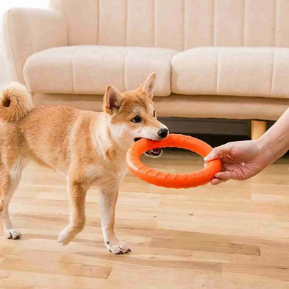 Robuster Hundetrainingsring 