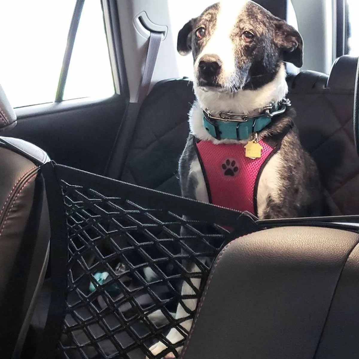 Pet Car Safety Net - KCShopping