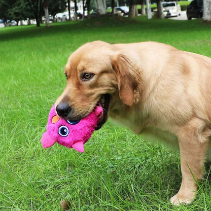 Süßes Monster – Interaktives Hundespielzeug