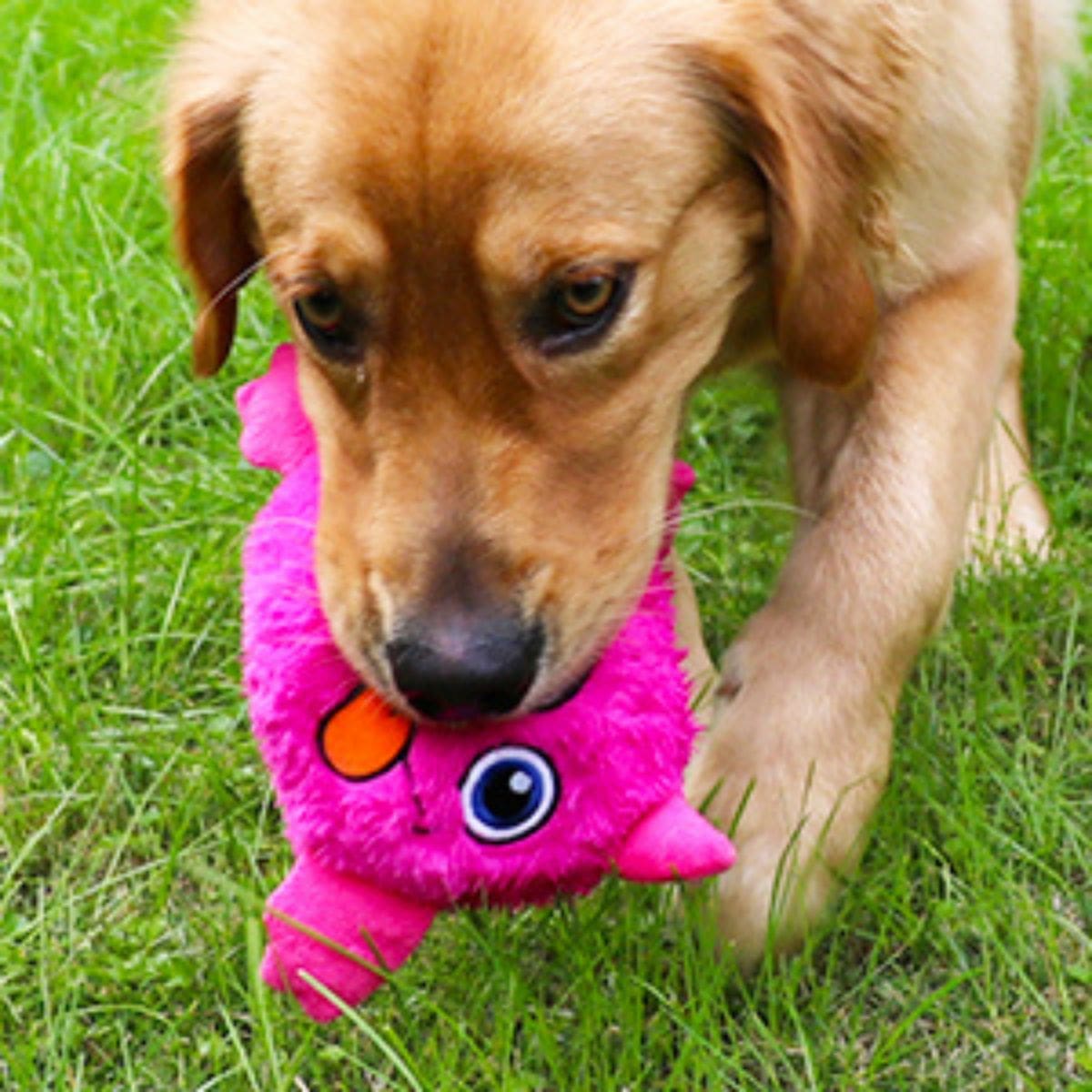 Süßes Monster – Interaktives Hundespielzeug