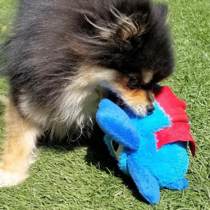 Süßes Monster – Interaktives Hundespielzeug
