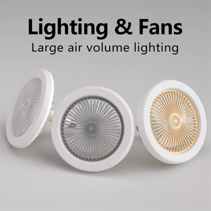 Ventilateur de plafond WhisperLight Oasis 