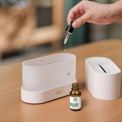 Diffuseur de flammes HumidiFire™ 
