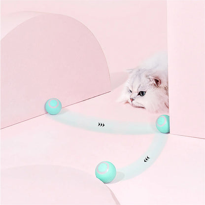 Stimulo-Cat: Auto-Rolling Playmate Ball - KCShopping