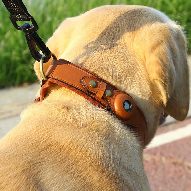 PoshPaws Luxury Tracker Leather Pet Collar - KCShopping