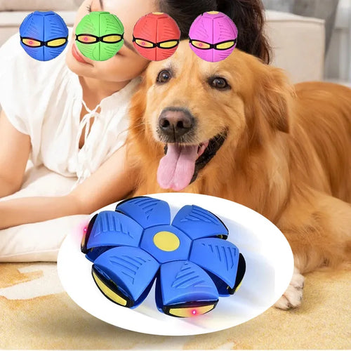 Magisches UFO-Apportieren für Fido 